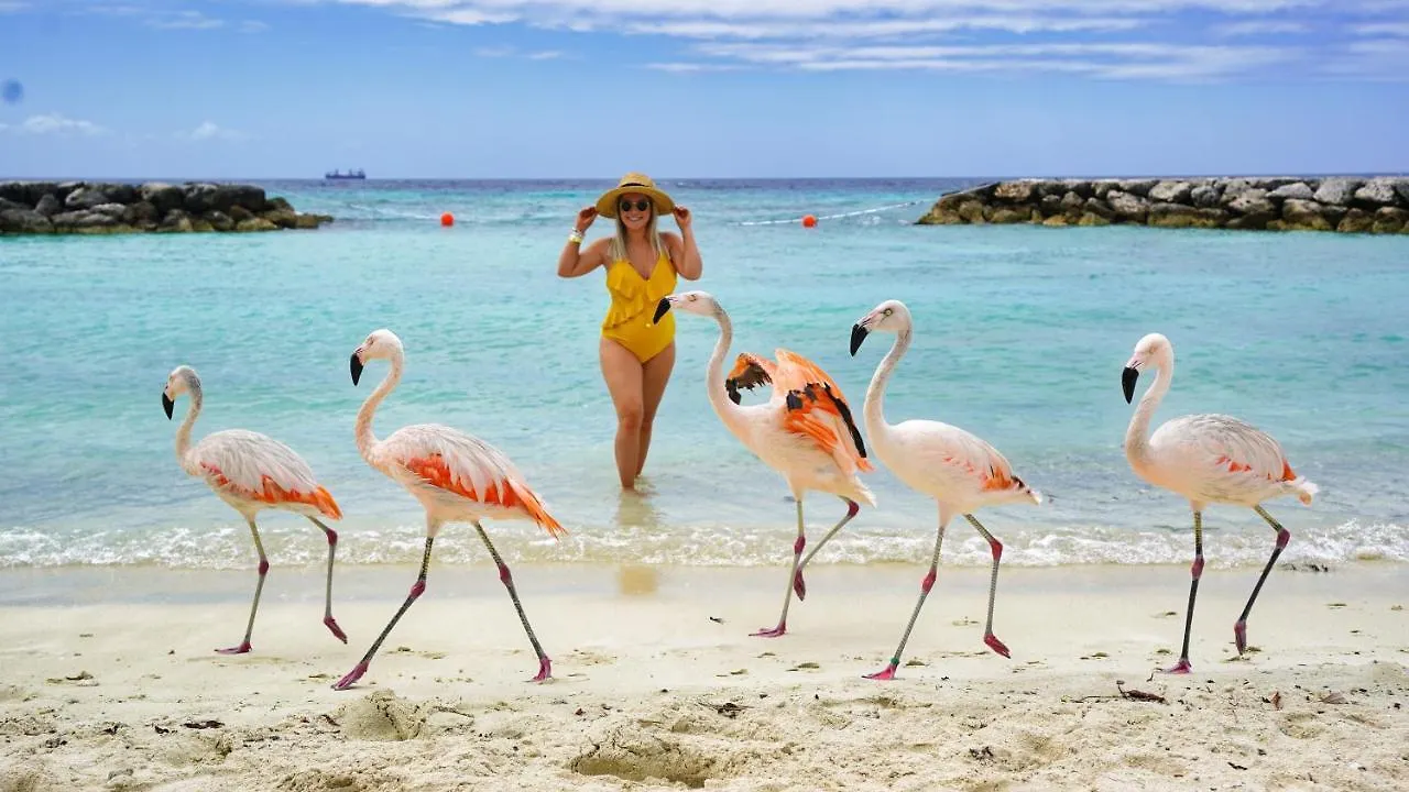 Opal 233 Villa Palm Beach 0*,  Aruba